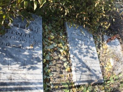 Могила писательницы Н. А. Тучковой-Огаревой и поэта Н. М. Сатина