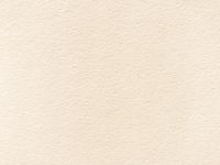 Папка для акварели Лилия Холдинг "Пион" А4 10 л 300 г, цвет бумаги молочный