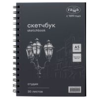 Альбом для графики на спирали Гамма "Студия" А5 30 л 140 г, черный