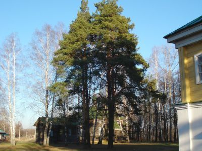 Церковь А. Невского