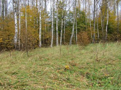 Место расположения Издешковского подпольного райкома партии и райисполкома в период оккупации Смоленской области немецко-фашистскими войсками