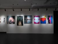 Арт-оранжерея «ЛюбаПетя»