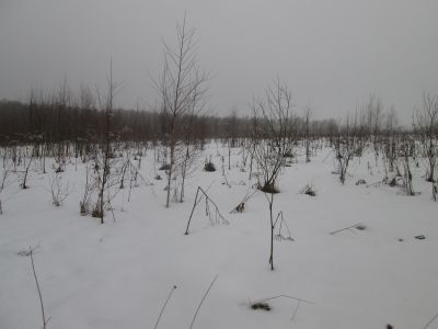 Памятное место, где в 1941-1942 гг. в период оккупации района немецко-фашистскими захватчиками, действовала подпольная организация под руководством директора школы И.Д. Молчанова