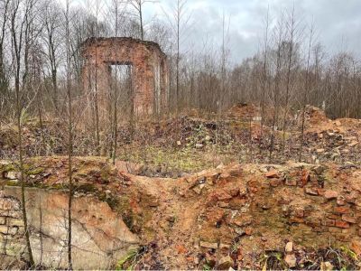 Дворец Г.А. Потемкина (руины)