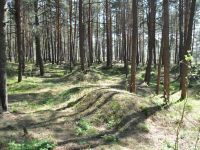 Историко-архелогический и природный музей-заповедник «Гнёздово»