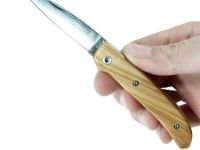 Нож складной Massimo Fantoni Design, Dweller, FAN/DWELLER/ОL, сталь 19C27, рукоять Оlive Wood