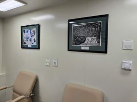 Работы якутских художников украсили кают-компании ледокола «Якутия»