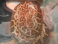 Выставочный зал Дворца культуры и искусства г. Ленинск-Кузнецкий