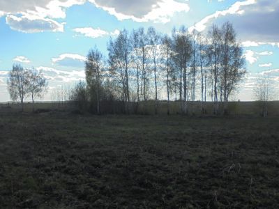 Священная роща