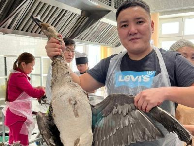 Жители Мугудайского наслега отправили два мешка уток якутским солдатам