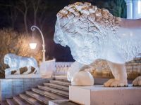 Центральный парк культуры и отдыха им. С. М. Кирова