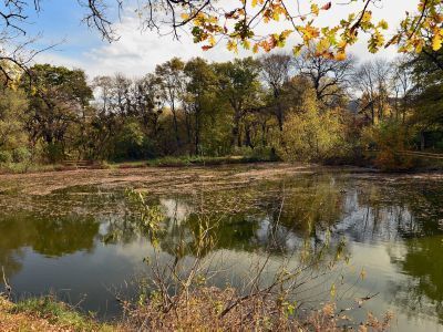 Старинный парк