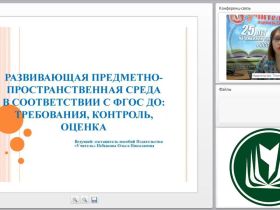 Развивающая предметно-пространственная среда в соответствии с ФГОС ДО: требования, контроль, оценка