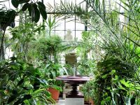 Дом ученых им. М. Горького