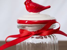 Емкость для хранения Christmas jam, птица