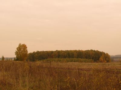 Священная роща