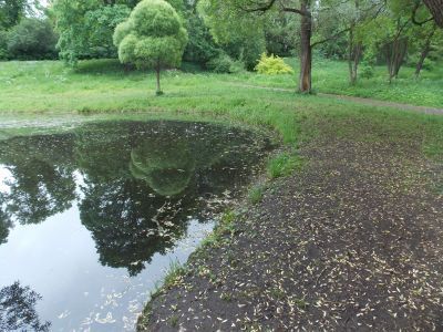 Пруды (шесть) с протоками