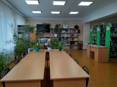 Больше-Елгинская сельская библиотека