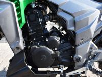 Мотоцикл REGULMOTO T-Leopard 300