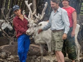 Сплав, отдых и рыбалка на реке Амга. Маршрут: Верхняя Амга - Оннес (390 км.)