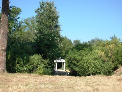 Усадебный парк дворян Ознобишиных