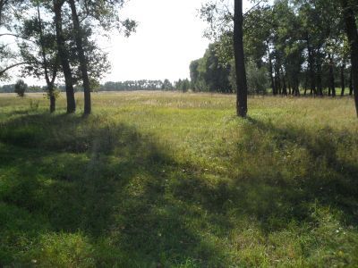 Ветряная мельница