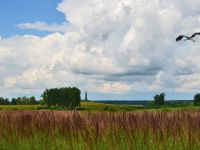 Бородинский военно-исторический музей-заповедник