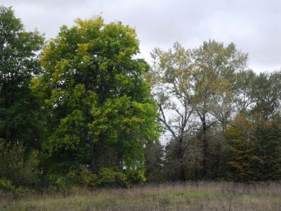 Усадьба "Высоково"