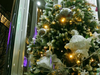 Билеты на Новогодний Петербург (Новогодний  Петербург) / Экскурсия | Афиша | ИнфоТаймс