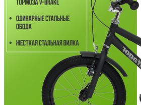 Детский велосипед Pifagor Line 16, год 2023, цвет Черный