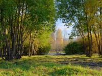 Озеро-парк «Октябрьский» г. Красноярска