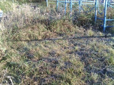 Могила первого секретаря партячейки Золотухина Никиты Петровича