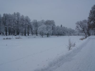 Парк с прудами
