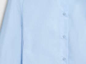 Приталенная рубашка из хлопка, Голубой