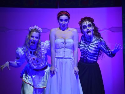 Билеты на Непростая жизнь, огромная любовь и великий дар Фриды Кало (Дом актёра) / Театр | Афиша | ИнфоТаймс