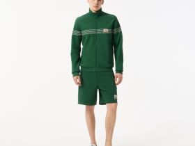 Мужская толстовка Lacoste из эластичного хлопка