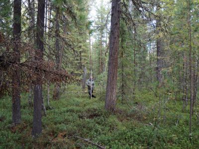 Святилище Ай-Хар-Санг-Хум-Пупы-Сязи 1/1