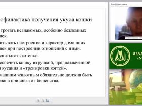 Первая медицинская помощь при укусах животных, змей и ужалениях насекомых (практикум)