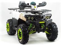 Квадроцикл MOTOLAND ATV 200 Wild Track