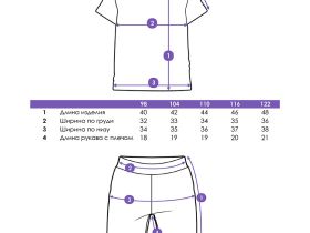 Комплект для девочек: фуфайка трикотажная (футболка), шорты текстильные
