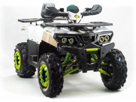 Квадроцикл MOTOLAND 200 Wild Track Lux ( Баланс. вал) (2021 Г.)