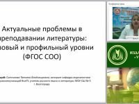 Актуальные проблемы в преподавании литературы: базовый и профильный уровни (ФГОС СОО)