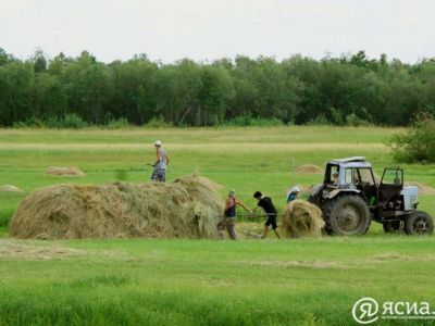 Свыше 23 тысяч человек участвуют в кормозаготовительной кампании в Якутии