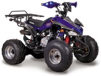 Квадроцикл ABM Scorpion 125A