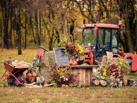 Парк культуры и отдыха «Кузьминки»