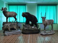 Сеймчанский краеведческий музей