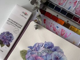 Набор акварели Гамма "Старый Мастер" "Ботаническая иллюстрация", 14 цв*2,6 мл , кюветы , с кисью , м