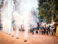 Лесопарк «Талицкий лес»