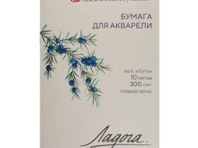 Папка с бумагой для акварели "Ладога" А4 10 л 300 г, 100% хлопок, среднее зерно