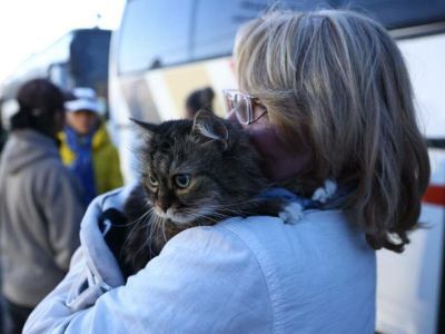 В России упростили получение гражданами ДНР и ЛНР вида на жительство